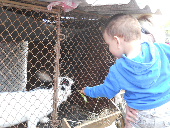 Picture (86) - in Cornesti la Nico