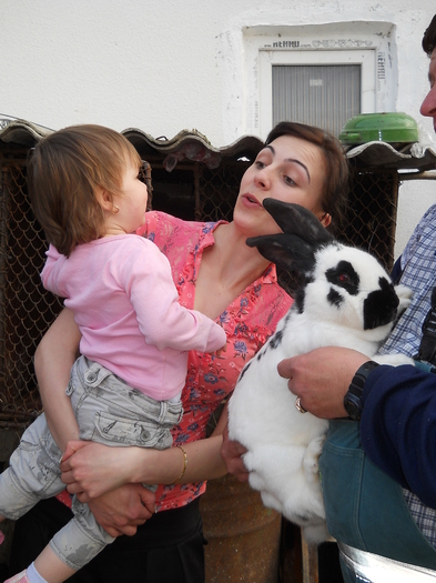 Picture (89) - in Cornesti la Nico