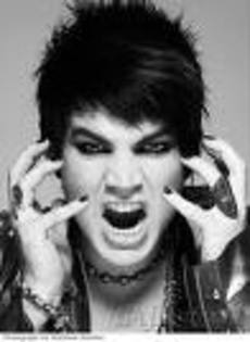 5567844 - adam lambert