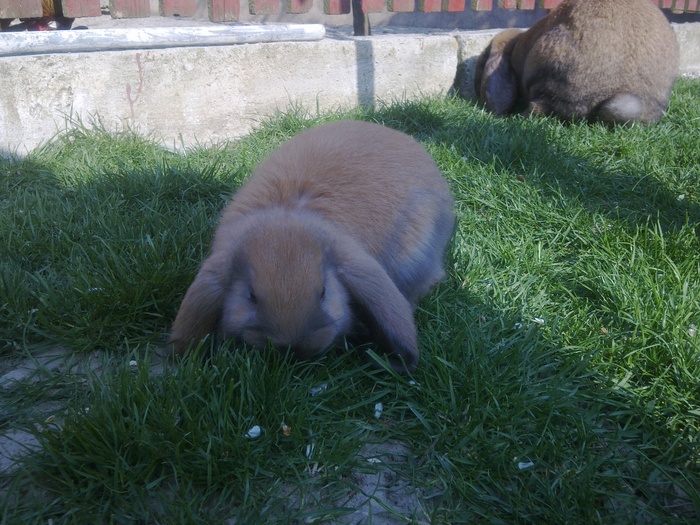 Image0160