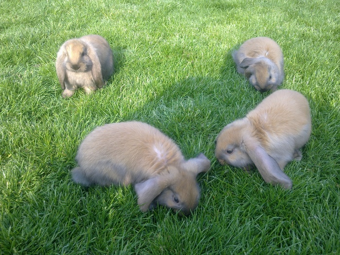Image0152