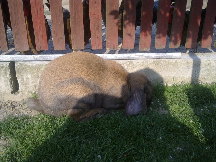 Image0158
