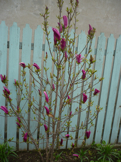 P1060694
