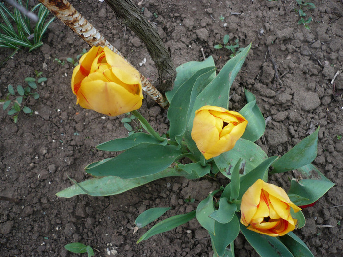 P1060708