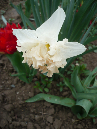 P1060716