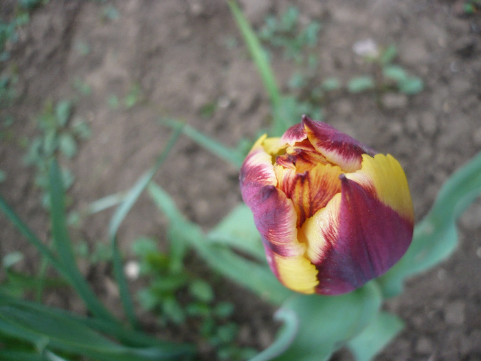 P1060718