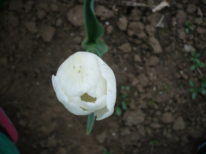 P1060720