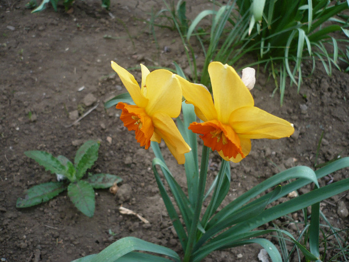 P1060722