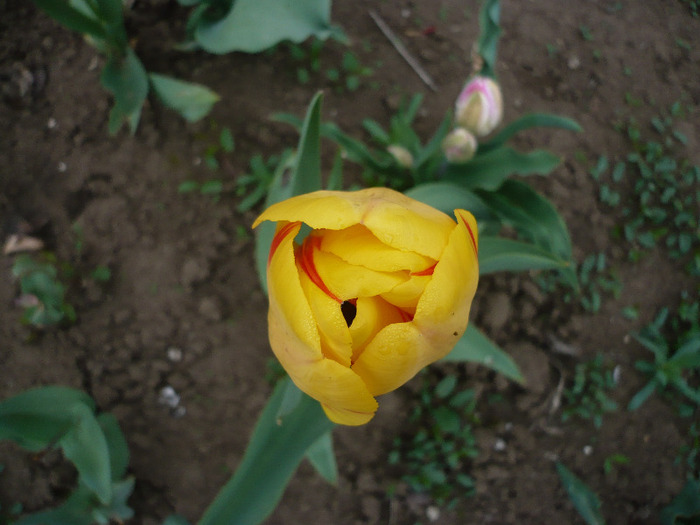 P1060727