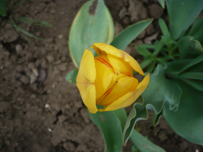 P1060729