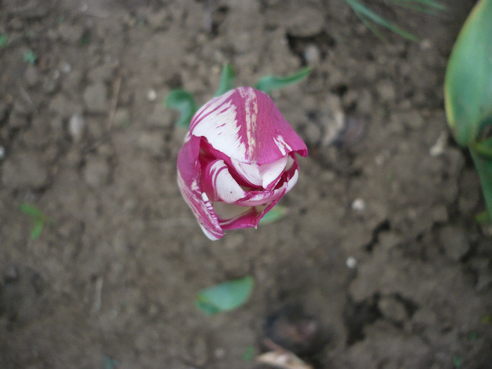 P1060730