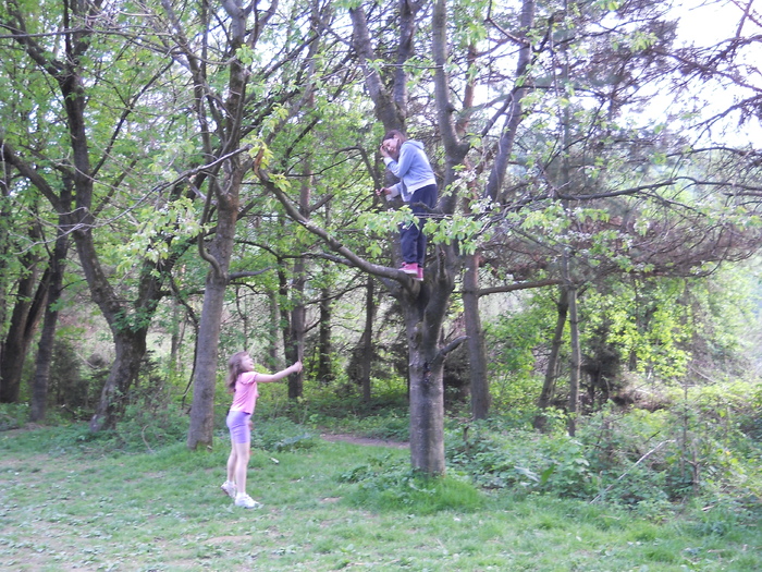 Picture 021 - Parcul dendrologic si inca