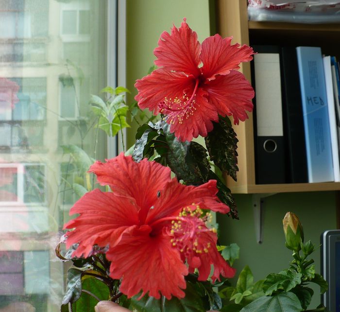 P1330537