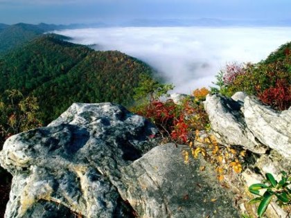 Fog_Cumberland_Gap_National_Historical_Park_Kentucky[1] - Poze Deskop