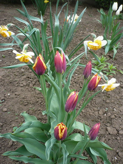 P1060738