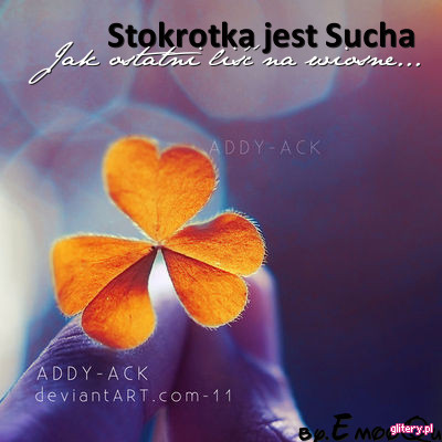 2-Stokrotka-jest-SuchaJak-o-2127[1] - album pt ktalyna