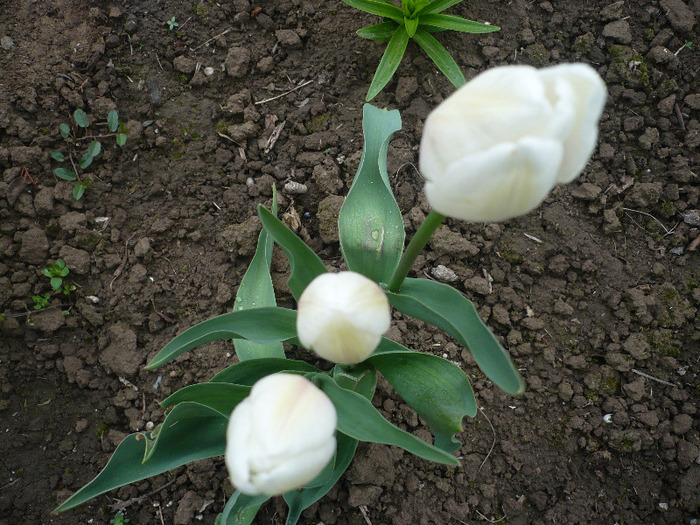 P1060749