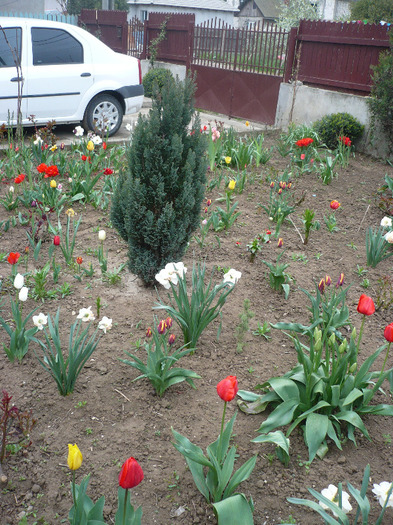 P1060755