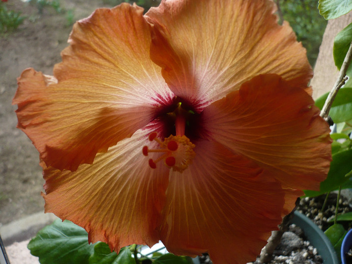 P1060758