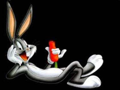 images (3) - daffy duck si bux bunny