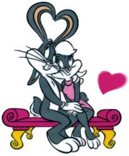 images (13) - daffy duck si bux bunny