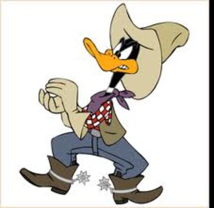 images (17) - daffy duck si bux bunny