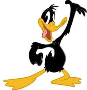 images (20) - daffy duck si bux bunny