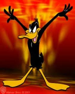 images (23) - daffy duck si bux bunny