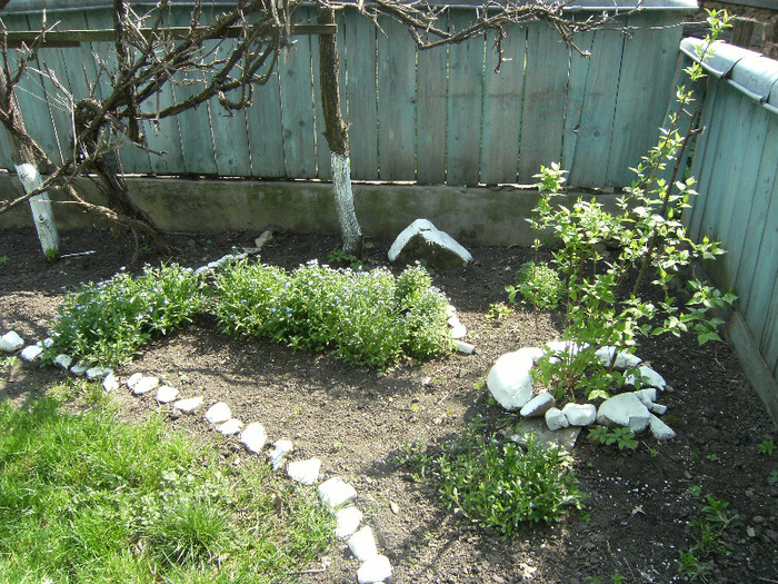 30 aprilie 2011 008 - primavara 2011-ocea