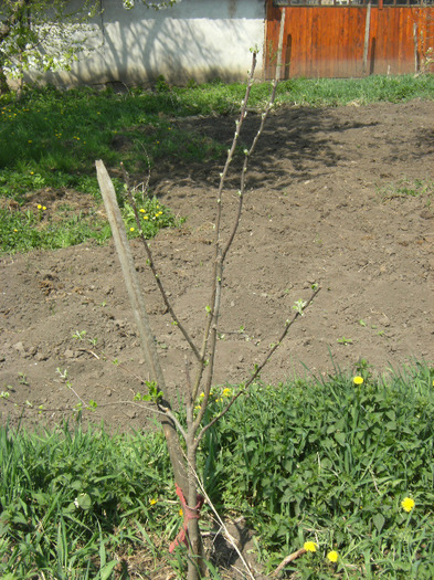 30 aprilie 2011 011 - primavara 2011-ocea