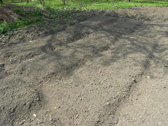 30 aprilie 2011 015 - primavara 2011-ocea