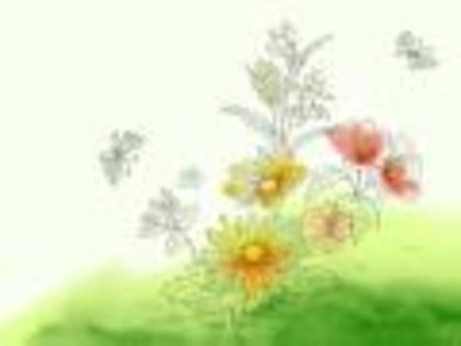 Desene cu Flori Flowers Wallpapers Poze Florale[1]