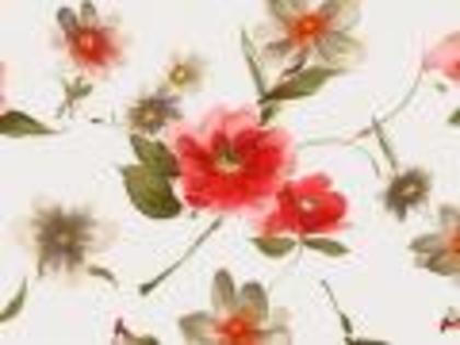 Desene cu Flori Flowers Wallpapers Poze Flori[1]