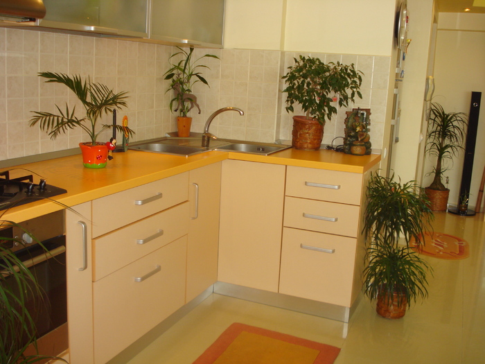 ...LA LOC CU VERDEATA:))