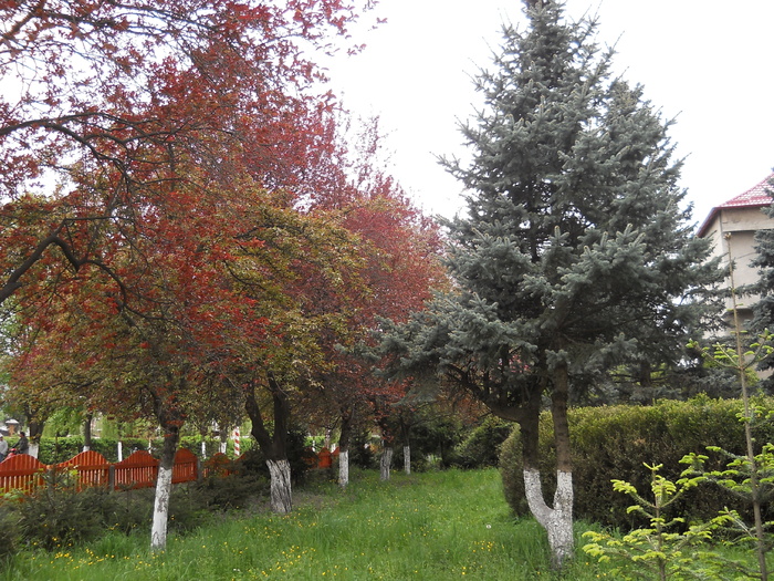 in fata... - Foto din oras
