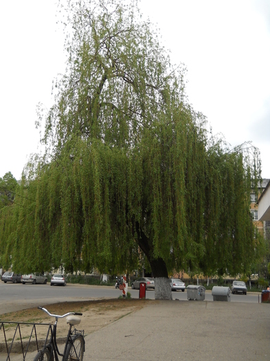  - Foto din oras