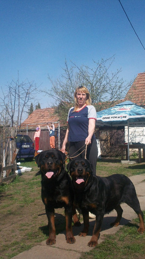 hogan jojo - rottweiler canisa adamsrott