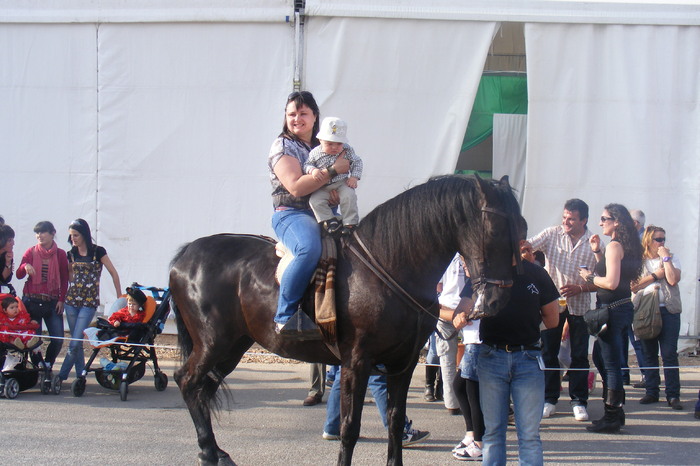 feiria de abril 037 - feria mallorca