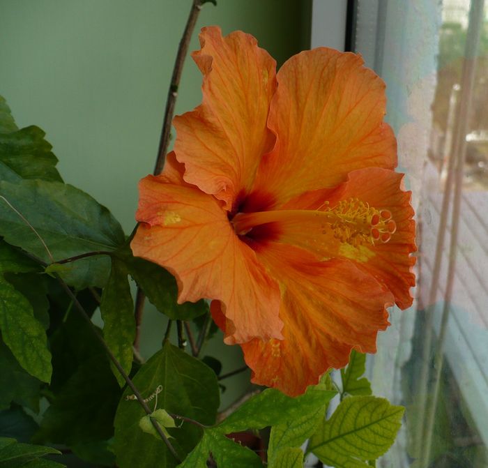 P1330556