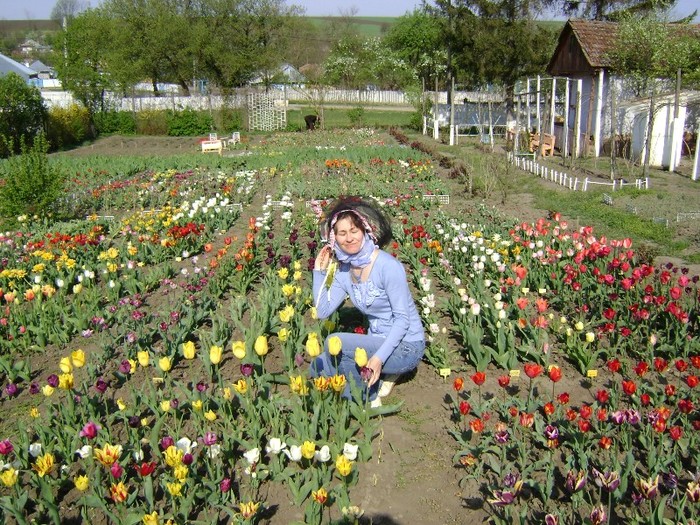 DSC00992 - Gradina lui Vio -  Dobroslovesti-Vaslui