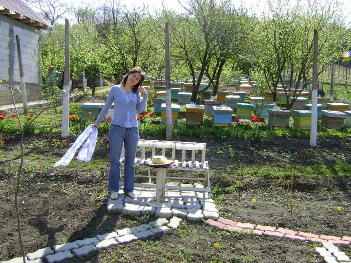 DSC01119 - Gradina lui Vio -  Dobroslovesti-Vaslui