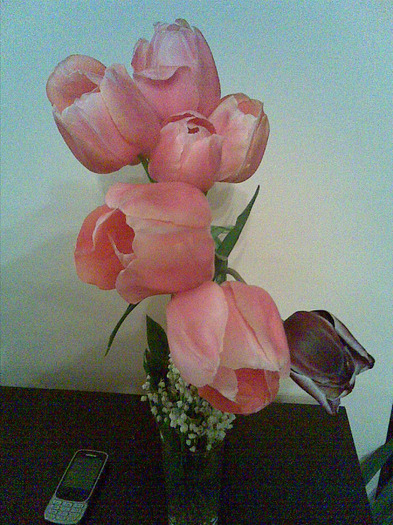 01052011(006) - flori 2011