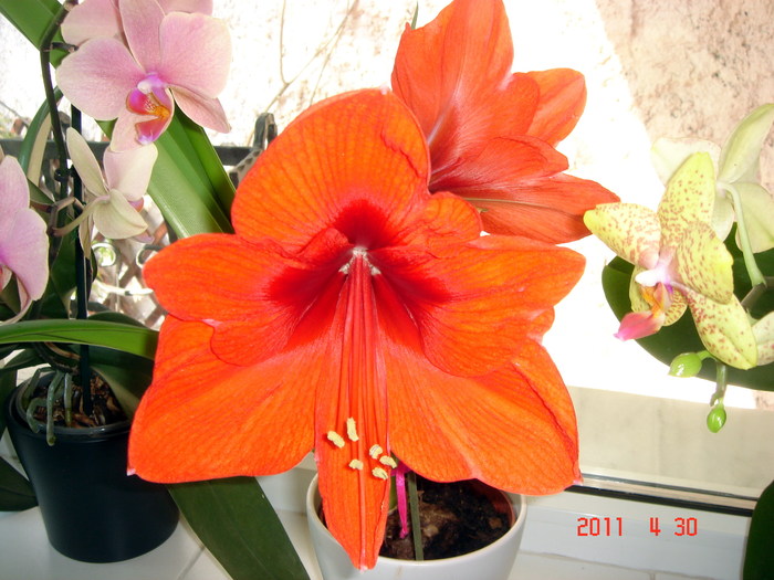 DSC00006