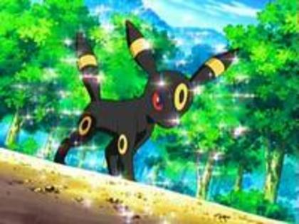 Peste Umbreon se pune sclipici - Concursul meu din Arsenia