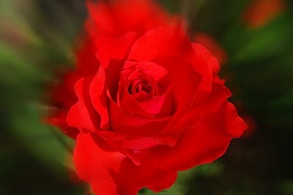 trahda[1]