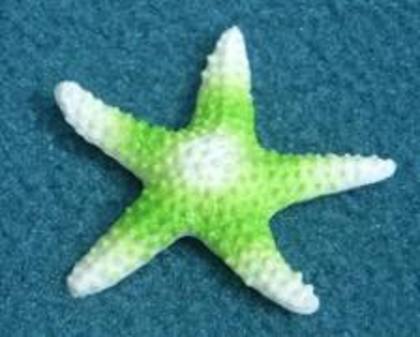 green star