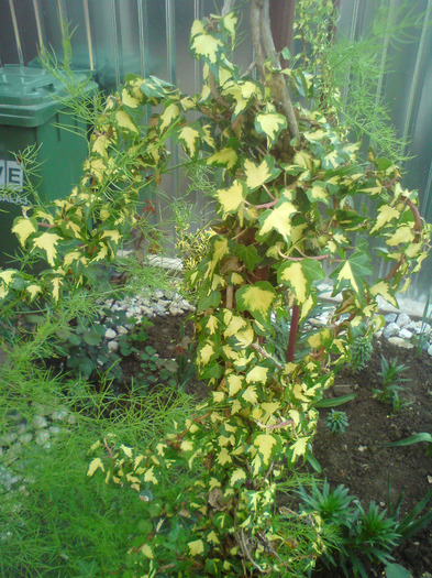 DSC00380