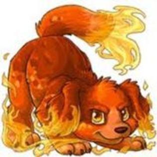 FireDog baiat stie toate miscarile de foc si normale