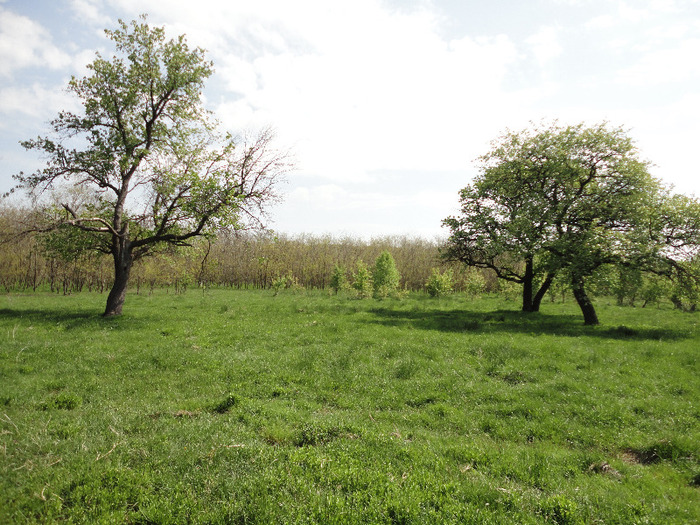 Aici am copilarit pana am plecat la scoala