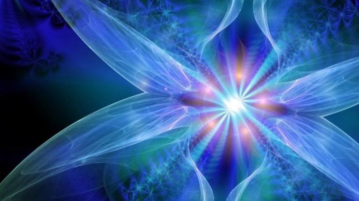 blue-rose-floral-print